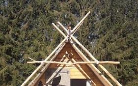 Cabane de Davy Crockett